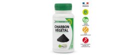 MGD CHARBON VEGETAL ACTIVE 120 GELULES
