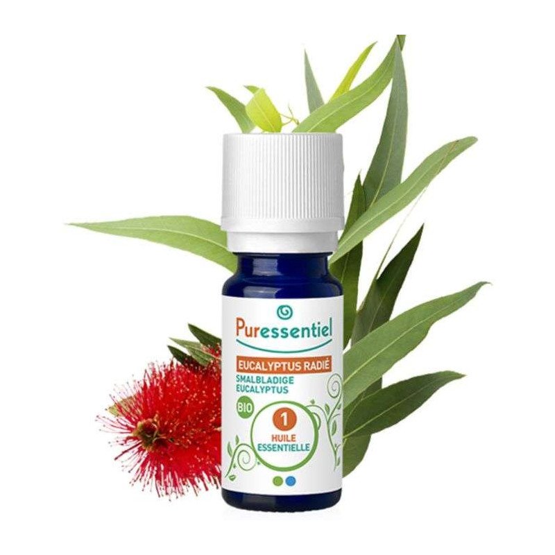 PURESSENTIEL HUILE ESSENTIELLE EUCALYPTUS RADIE 10 ML
